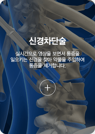신경차단술 실시간으로 영상을 보면서 통증을 일으키는 신경을 찾아 약물을 주입하여 통증을 제거합니다.